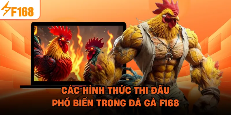 Các hình thức thi đấu phổ biến trong đá gà F168