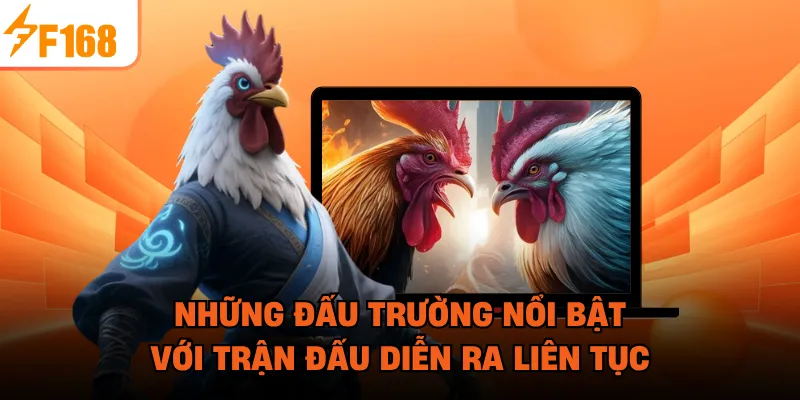  Những đấu trường nổi bật với trận đấu diễn ra liên tục